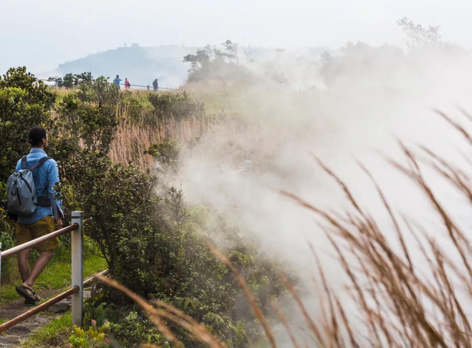 A misty landscape with steam rising from the ground, lush greenery, and hikers walking along a trail with a wooden railing in the foreground.