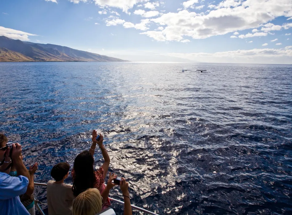 Group of whale watchers in Hawaiʻi