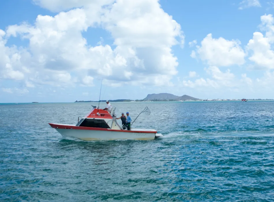 Deep-sea fishing on the island of Hawaiʻi