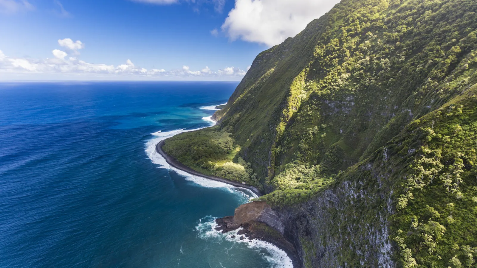 Hear a Hawaiian Chant